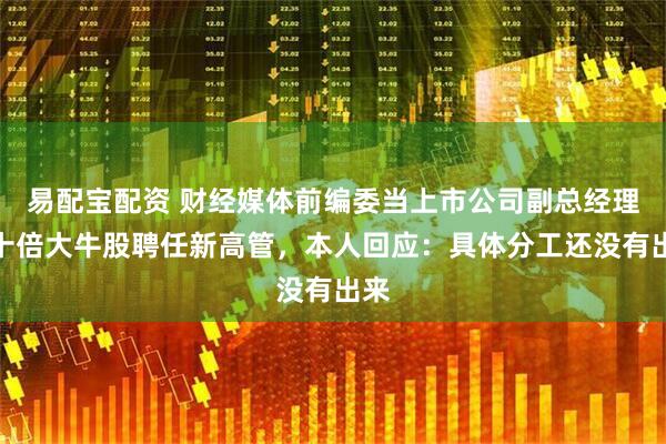 易配宝配资 财经媒体前编委当上市公司副总经理！十倍大牛股聘任新高管，本人回应：具体分工还没有出来