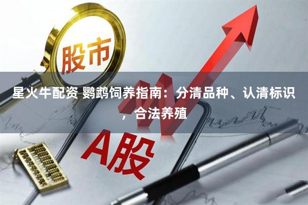 星火牛配资 鹦鹉饲养指南：分清品种、认清标识，合法养殖